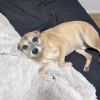 Photo of Budd