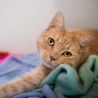 Photo of Jasper