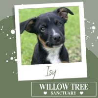 Photo of Isy