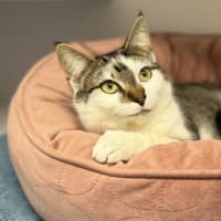 Photo of Mabel