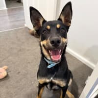 Photo of Lucy