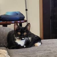 Photo of Dotty
