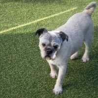 Photo of Molly Wensleydale