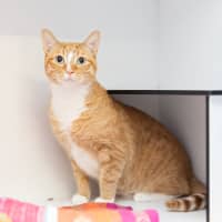 Photo of Gasby