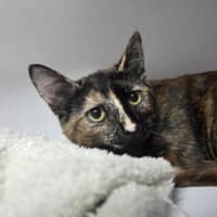 Photo of Deja