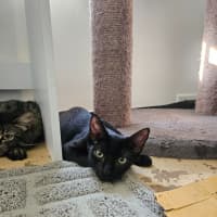 Photo of Clawdia