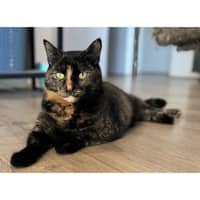 Photo of 6193   Minnie