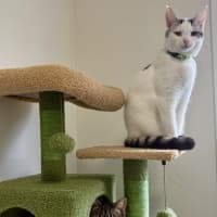 Photo of Monty