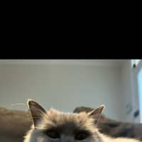 Photo of Missy 