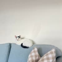 Photo of Lilly