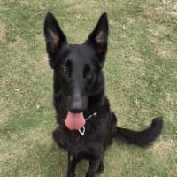 Photo of Nyla