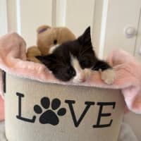 Photo of Addy 🌸🌸