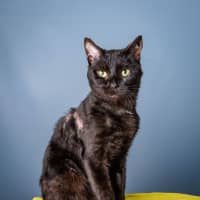 Photo of Bernard 