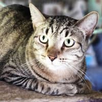 Photo of Storm