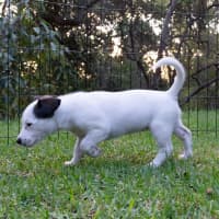Photo of Wilma