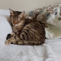Photo of Lucy
