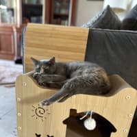 Photo of Julia 