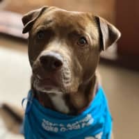 Photo of Wally