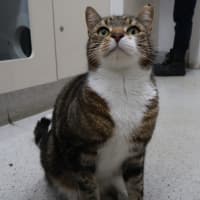 Photo of Maximus