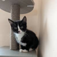 Photo of Nigel