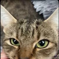 Photo of Maggie