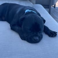 Photo of Reggie