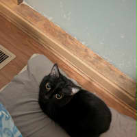 Photo of Ms Milo