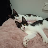 Photo of Rocky Road