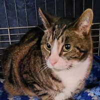 Photo of Scootie