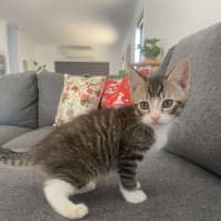 Photo of Blue