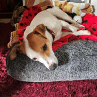 Photo of Jacky Chan Peggotty