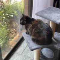 Photo of Charlotte