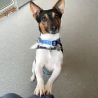 Photo of Reggie