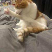 Photo of Charlie 
