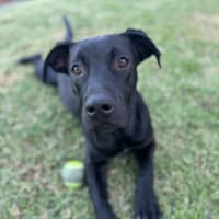 Photo of Max