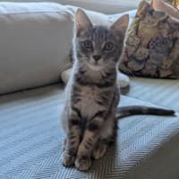 Photo of Disco