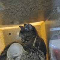 Photo of Monique