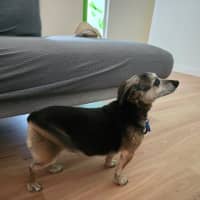 Photo of Barney Lozano