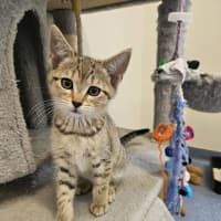 Photo of Mabelle