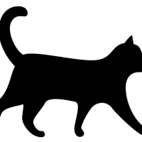 Photo of Sylvester (Bonded With Cleopatra)