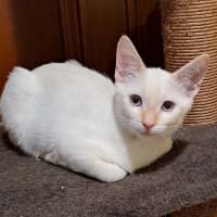 Photo of Frosty