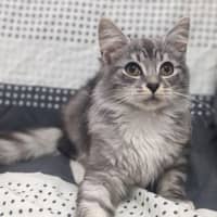 Photo of Jasper