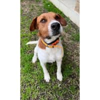 Photo of Butch