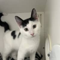 Photo of Wednesday