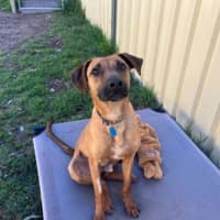Photo of Finley 