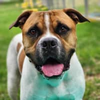 Photo of 🥯 Crumpet 5721 🥯