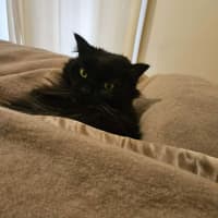 Photo of Bubbles