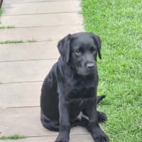 Photo of Doug