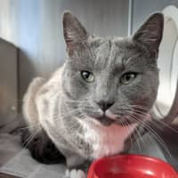 Photo of Reg