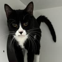 Photo of Mr Bamboozle
